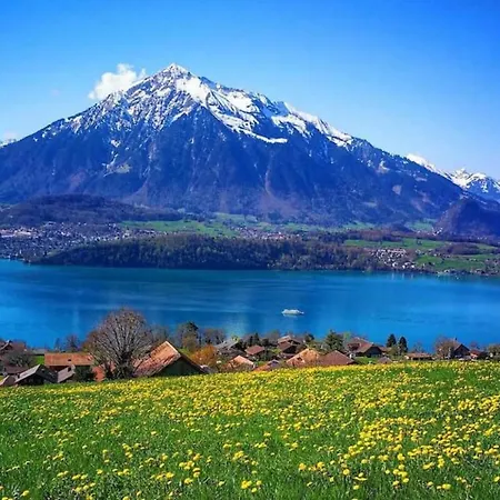 Шале Swisshut Modern With - Beunden