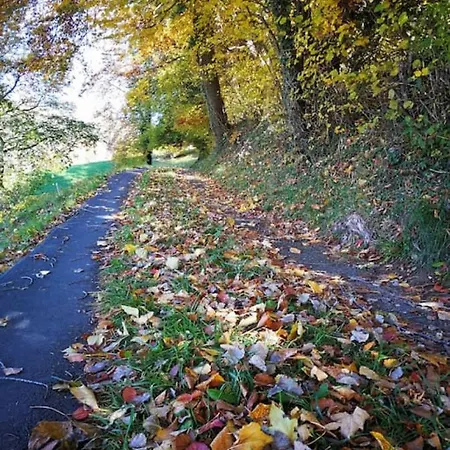 Swisshut Modern With - Beunden Beatenberg