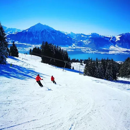 Шале Swisshut Modern With - Beunden *