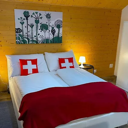 Swisshut Modern With - Beunden Beatenberg