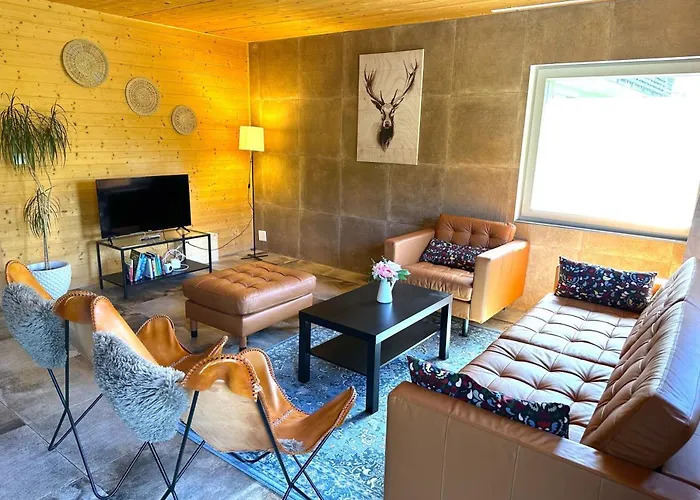 Swisshut Modern With - Beunden Beatenberg