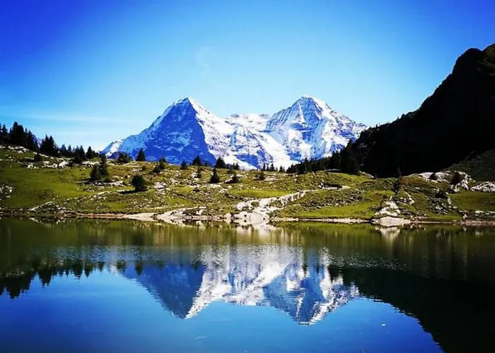 Swisshut Modern With - Beunden Alpehytte