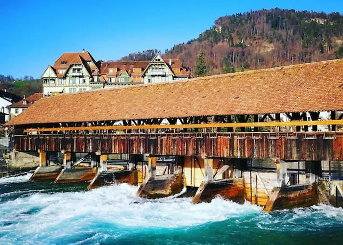 Swisshut Modern With - Beunden * Beatenberg