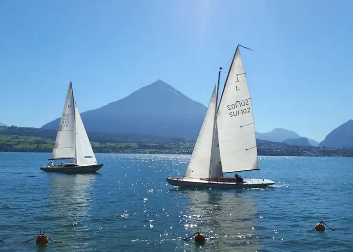 Swisshut Modern With - Beunden *