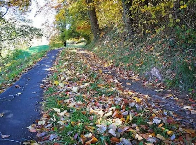 Swisshut Modern With - Beunden Beatenberg