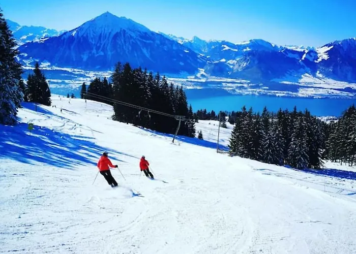 Alpehytte Swisshut Modern With - Beunden *