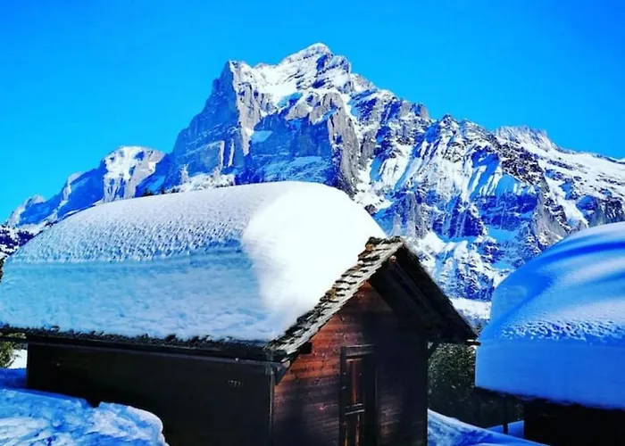 Swisshut Modern With - Beunden Alpesi faház Beatenberg