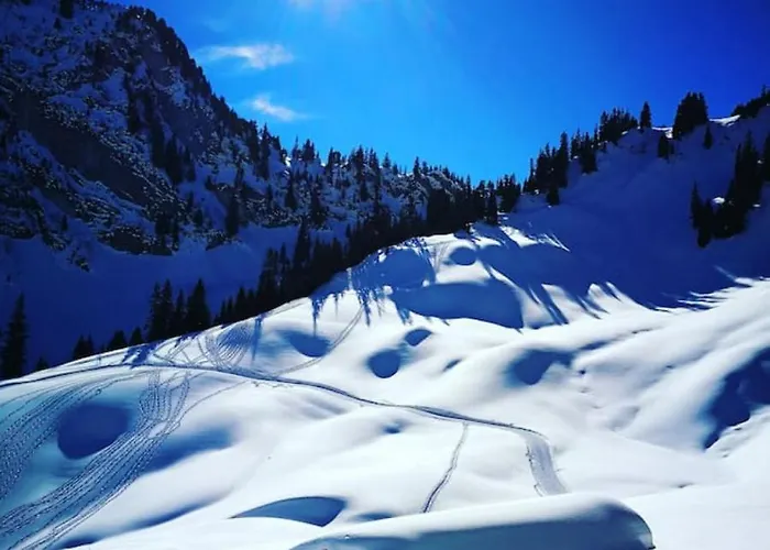 Swisshut Modern With - Beunden Beatenberg