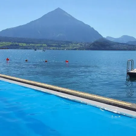 Swisshut Modern With - Beunden