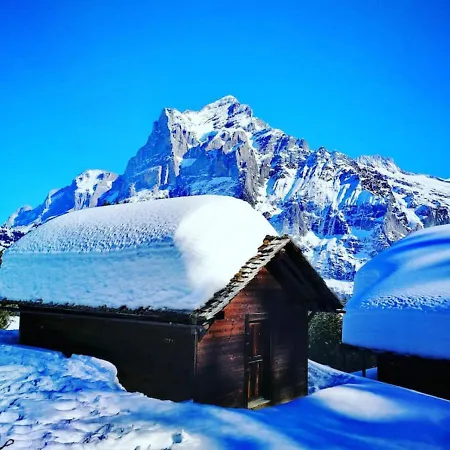 Swisshut Modern With - Beunden Chalet Beatenberg